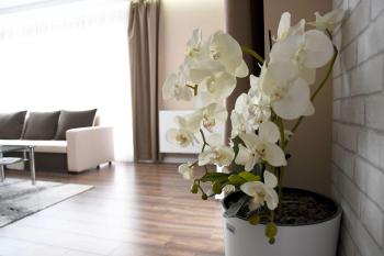 Apartament Wilga Park, Cracovie (photo 3)