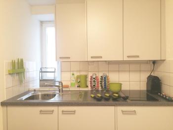 In Swiss Home - Rathaus from 1284 historical Apartment, Basilea (foto 4)