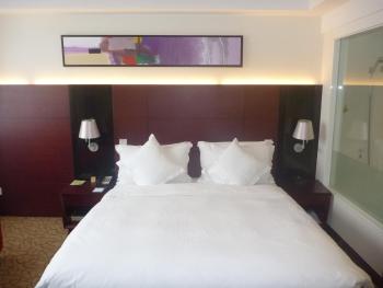 Holiday Inn Shanghai Hongqiao Central by IHG, Shanghai (foto 4)