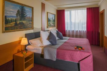 TOP HOTEL Praha, Praga (foto 2)