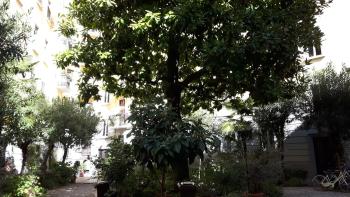Bronzino House, Milán (fotografie 5)