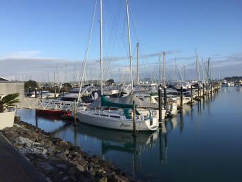 Halfmoon Bay Apartment, Auckland (photo 2)