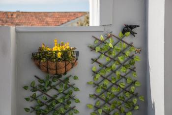 Apartamento À Francos Balcony, Porto (fotografie 3)