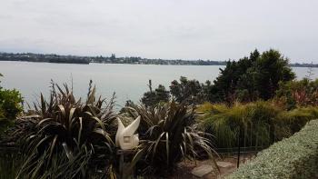 Water & City Lights Studio, Tauranga (foto 3)