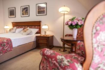 Hotel Paryski Art & Business Zakopane - Basen Jacuzzi Sauna Małpi Gaj, Закопане (фото 5)
