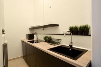 Standard Apartment by Hi5 - Dessewffy 39, Budapešť (fotografie 5)