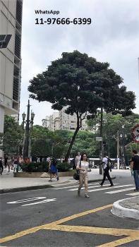 Metro Anhangabaú Sao Paulo - Ótima Localização, São Paulo (fotografie 5)