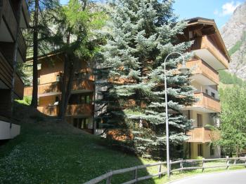 Apartment Balma 3 rooms near Gondelbahn, Zermatt (photo 4)