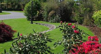 Tui Lodge, Turangi (foto 2)