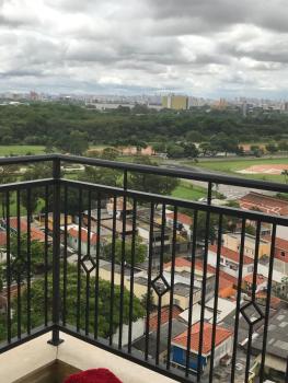 Anitta 2, San Paolo (foto 5)