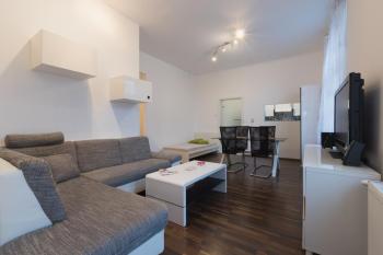 Spacious Apartment in Center with Terrace, Vídeň (fotografie 5)