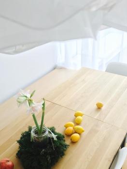 Architectural City Loft, Sofia (photo 5)