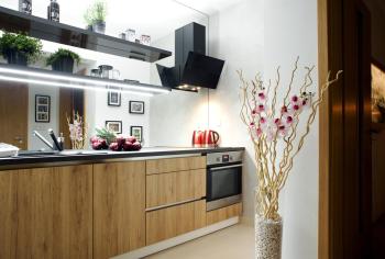 Brunetti Design Apartment, Прага (фото 4)