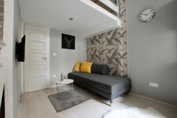 Standard Apartment by Hi5 - Teréz 6, Budapešť (fotografie 4)