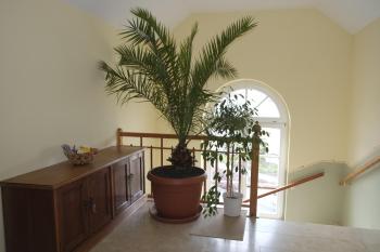 Gästewohnung Elström, Drážďany (fotografie 3)