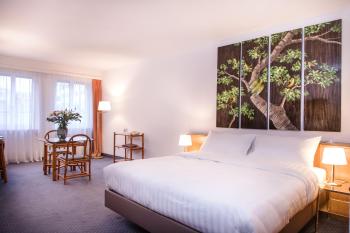 Hotel Sagitta, Genève (photo 2)
