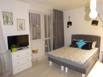 Apartament Nikola, Varšava (fotografie 4)