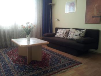 Cosy Apartment in the City, Vídeň (fotografie 4)