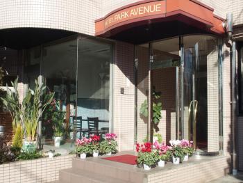 Hotel Park Avenue, Токио (фото 4)