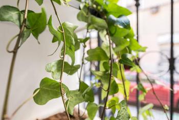 Apartamento en Calle Tres Peces, Madrid (fotografie 5)
