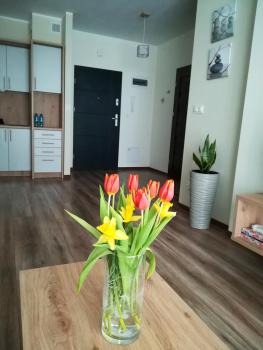 Modern, Suwałki (fotografie 2)