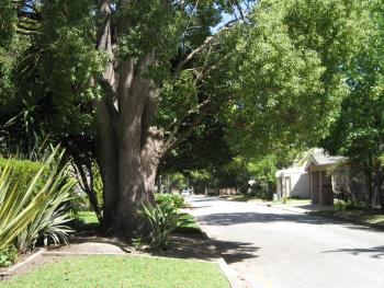 EdenNook, George (photo 3)