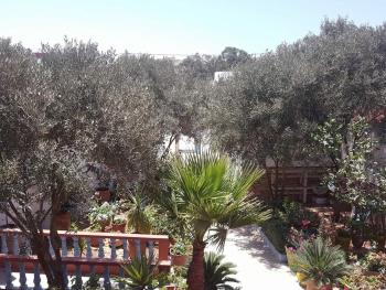 Dar ezzitouna, Oualidia (fotografie 2)