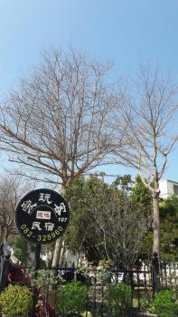 Fengming B&B, Jinning (foto 5)