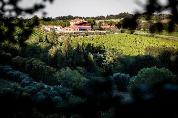 B&B - Uva Residence, Fano (foto 5)