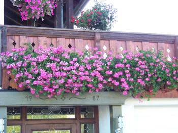 Pension Erna, Zwiesel (photo 5)
