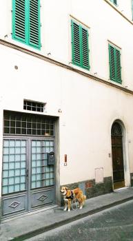 Appartamento Real Taste of Tuscany Top, Florencie (fotografie 2)