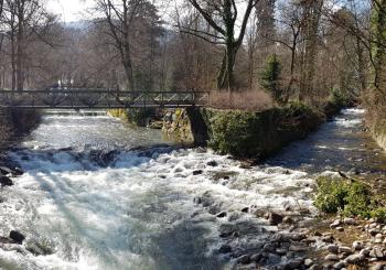 la verte vallée 2, Munster (foto 3)