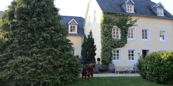 Wein- & Tafelhaus, Trittenheim (photo 5)