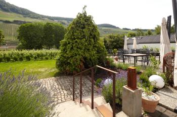 Wein- & Tafelhaus, Trittenheim (photo 2)