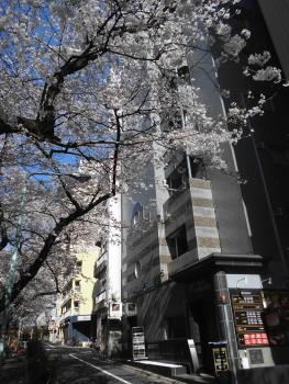Hotel Moana Otsuka (Adult Only), Tokio (fotografie 3)