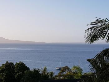 Close to beach, Auckland (photo 2)