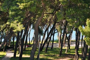 Apartment Barbara, Split (photo 3)