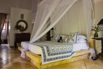 Why House, Unawatuna (photo 4)