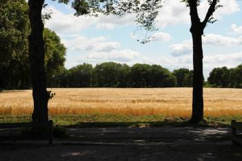 De Violier, Eext (photo 5)