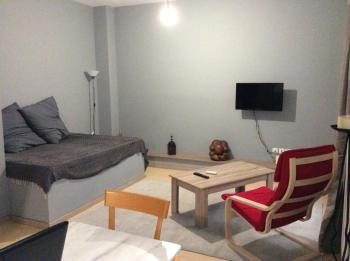 Renovated apartment, Athens (photo 5)