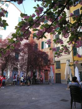 Lavagna Uno, Genua (zdjęcie 2)