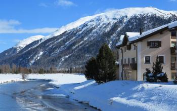 Marmotta, Celerina/Schlarigna (photo 3)