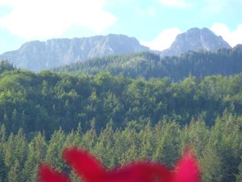 Willa Na Potoku, Zakopane (fotografie 2)