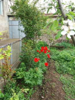 Aida Bed & Breakfast, Татев (фото 5)