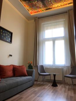 Frank & Fang Apartments, Budapešť (fotografie 3)