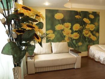 Квартира на проспекте Александра Поля с ромашками (Apartment on the Oleksandra Polia avenue with chamomiles), Dněpropetrovsk (fotografie 2)
