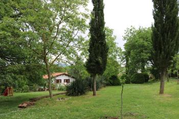 Boscodisotto, Rapolano Terme (foto 5)