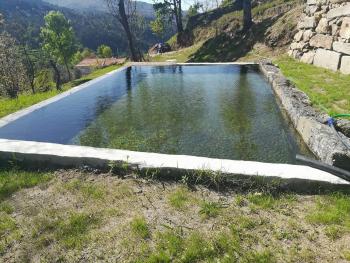 Quinta do Sol - Soutelo, Chã (Foto 4)