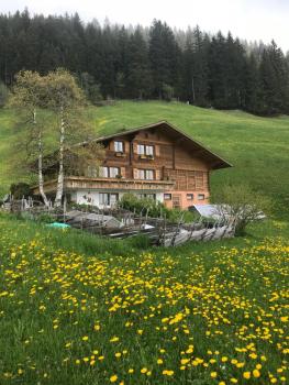 Abelied, Adelboden (photo 3)