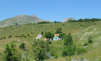 Suri, Плужине (фото 2)